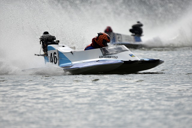 逐自己的 逐自己的