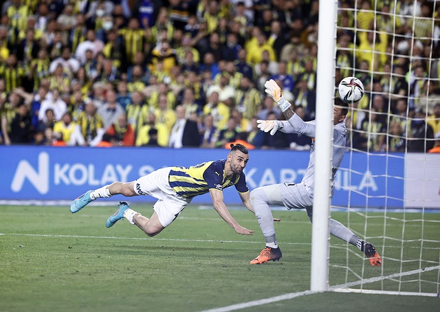 日益增强 日益增强