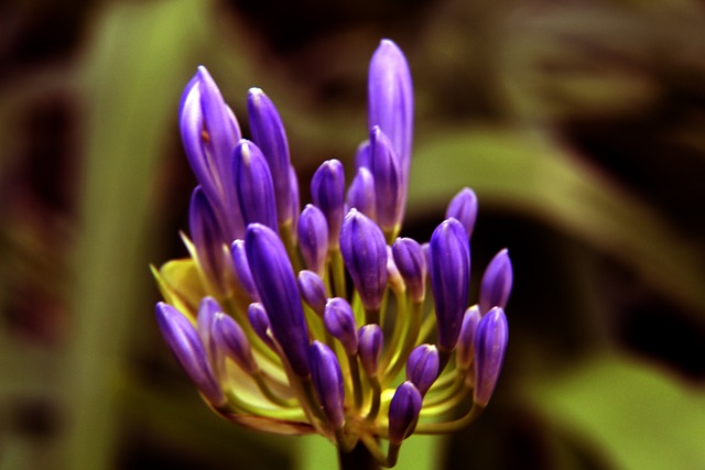 锋线球员 锋线球员