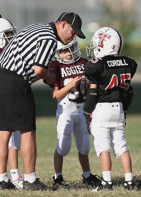 队素以锋线 队素以锋线