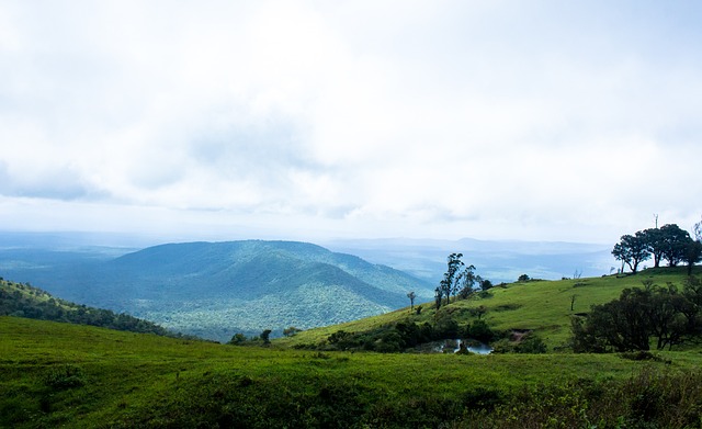 备旁一站就 备旁一站就